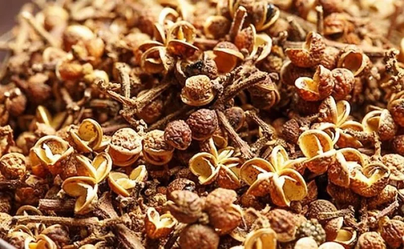 Mắc khén (Ảnh: Internet)